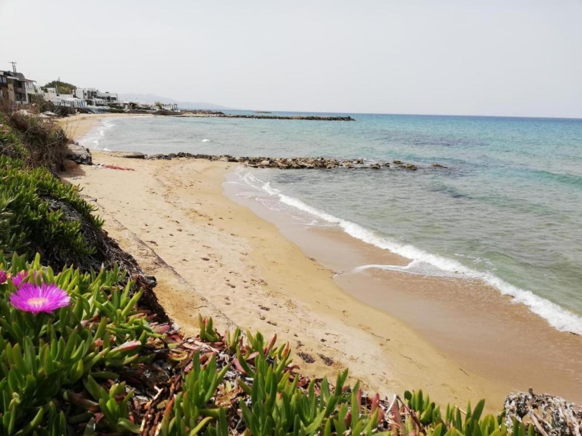 Panasia Seaview Apartments Kokkini Hani ภายนอก รูปภาพ